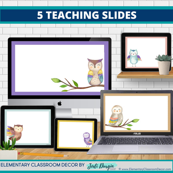 Owl Classroom Theme Decorations Bundle