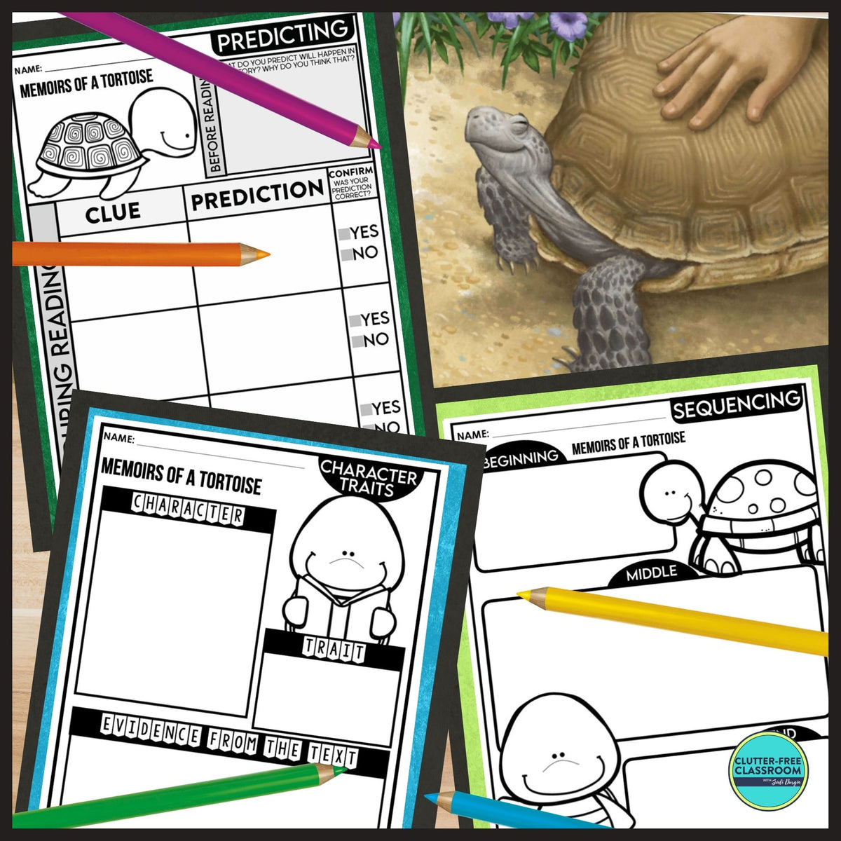 MEMOIRS OF A TORTOISE activities and lesson plan ideas – Clutter Free ...