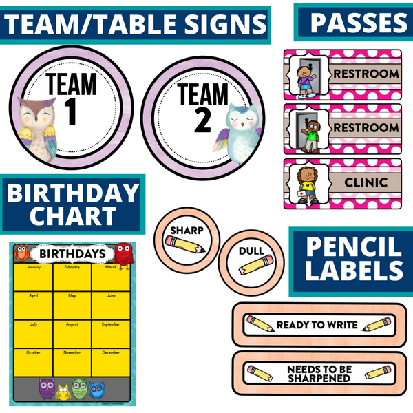 Owl Classroom Theme Decorations Bundle