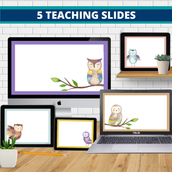 Owl Classroom Theme Decorations Bundle