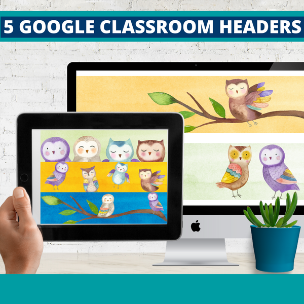 Owl Classroom Theme Decorations Bundle
