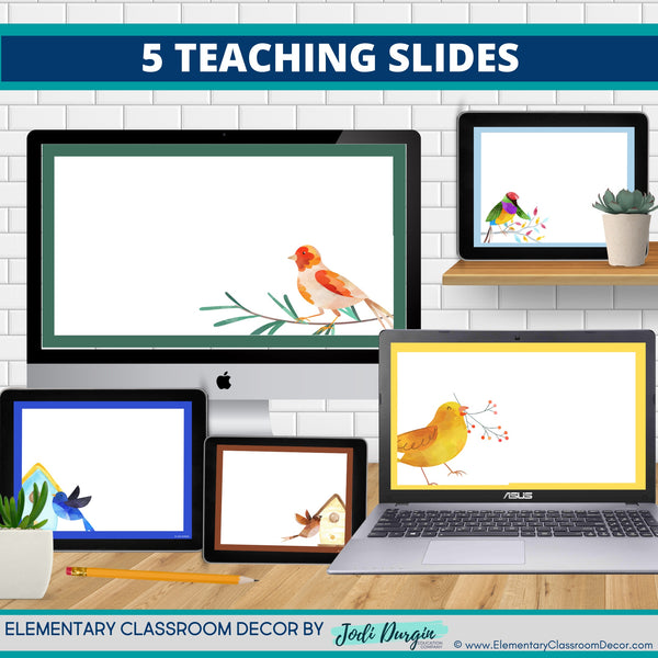 Bird Themed Classroom Decor Bundle