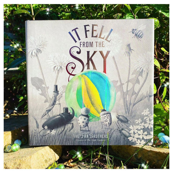 IT FELL FROM THE SKY activities and lesson plan ideas