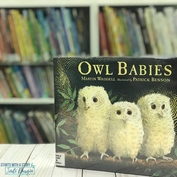 Owl Babies activities and lesson plan ideas