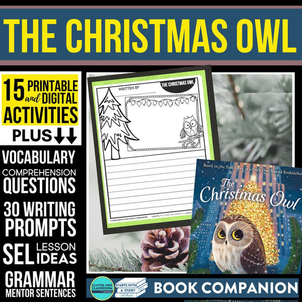 THE CHRISTMAS OWL activities and lesson plan ideas